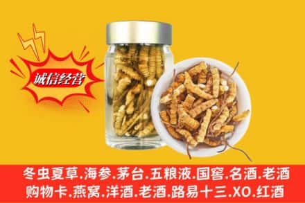 邯郸广平县回收散虫草