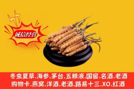 邯郸广平县求购回收虫草多少钱每克